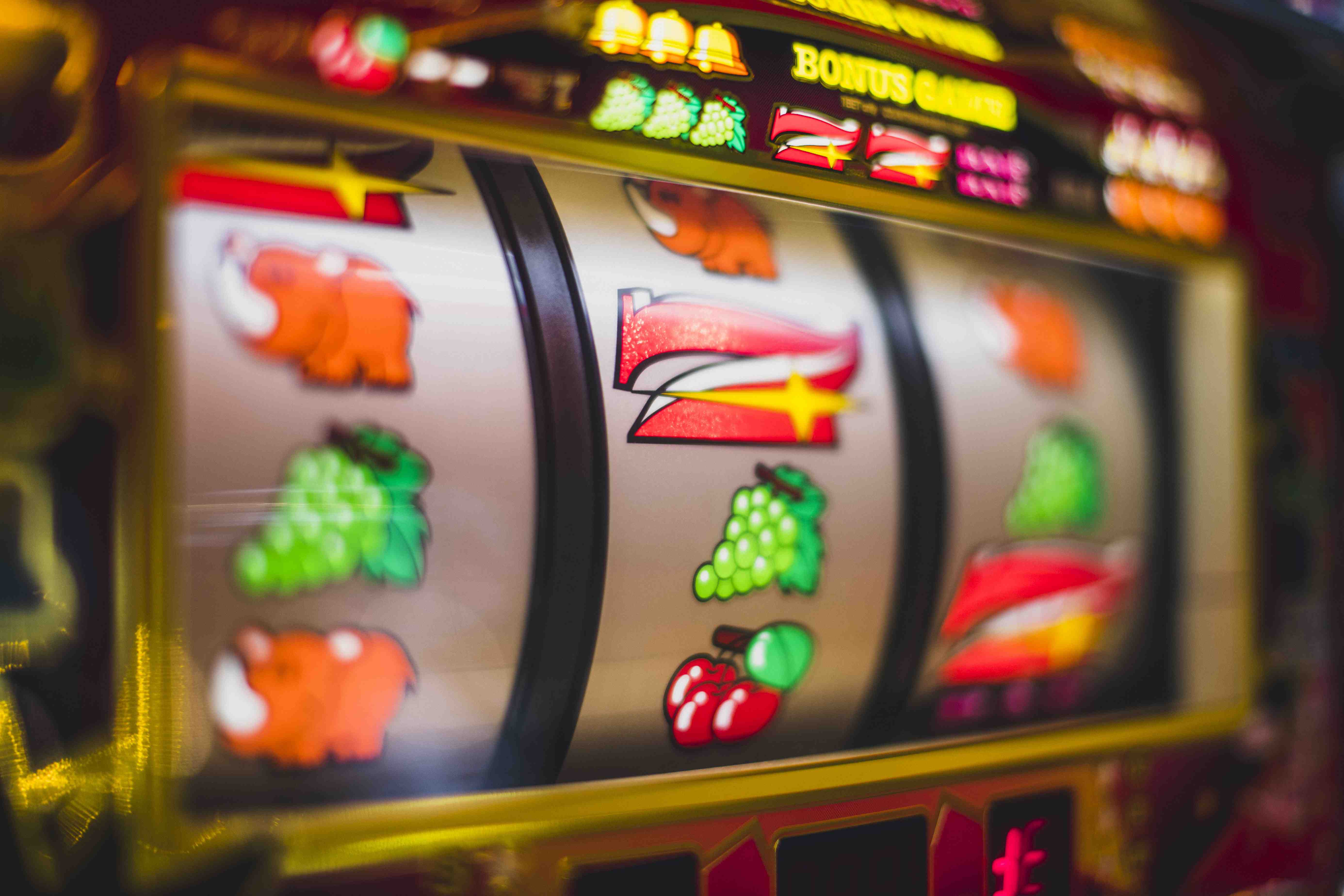 4466 bet 4466 bet